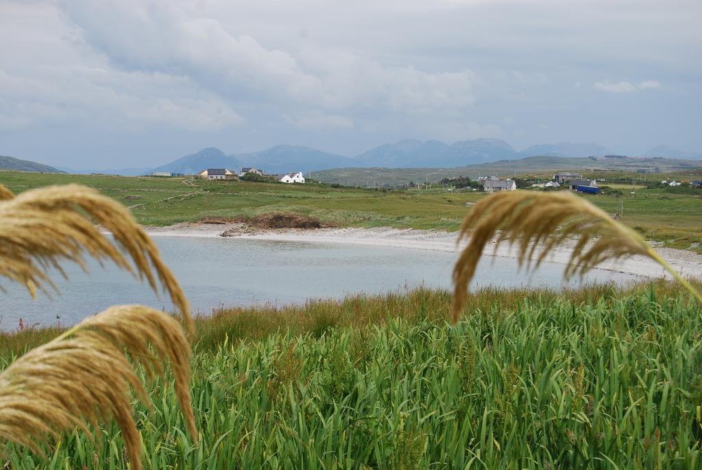 The Ocean Wave Bed & Breakfast Cleggan Esterno foto